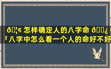 🦢 怎样确定人的八字命 🌿 格「八字中怎么看一个人的命好不好」